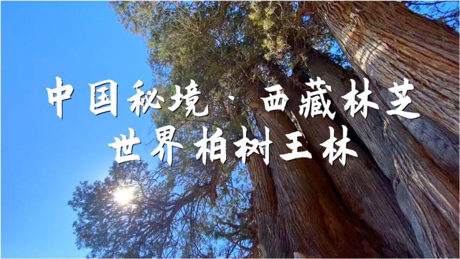城市深井病